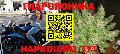 мяу мяу мука Кимры