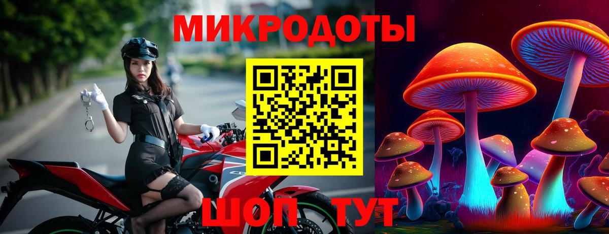 Псилоцибиновые грибы MAGIC MUSHROOMS Пермь